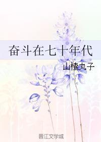 奋斗在七十年代